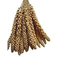 LEEWAY WOODWORK MILLET SPRAYS PACK OF 6 SPRAYS - BUDGIES - FINCHES - CANARIES - COCKATIEL - FOOD