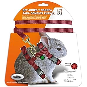 ICA DA1020 Set de Arnés y Correa para Conejos Enanos, Rojo