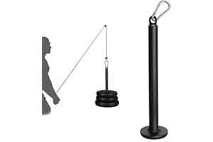 Favuit Stylo de charge pour plaque de poids de fitness - 25 mm - Câble de traction - Lifting - Plaque de poids - Broche de charge - Accessoire pour disques d'haltères de 30 mm et 50 mm - Pour la