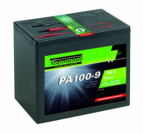 Preisvergleich Produktbild Alkalische Batterie / Brennstoffzelle 100 A - 9 V