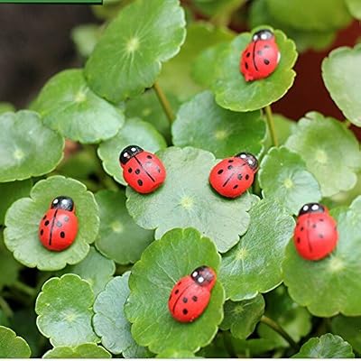amazing-trading Décorations pour jardins et pots de fleurs 100pcs