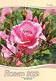 Rosen 2020 (Wandkalender): Der Wandkalender mit 12 wunderschönen Rosenmotiven und Bibelworten by 
