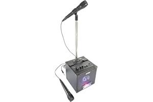 Party Light & Sound - Party-SINGTOGETHER - Set de karaoké sur Batterie avec 2 micros et Un Support - Noir