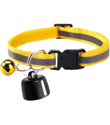 Collare GPS Per Gatti Con Tracker - Localizzazione In Tempo Reale, Impermeabile, Solo Per IOS, Dimensione Regolabile