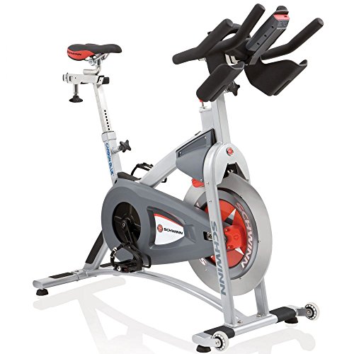 schwinn exercise bike pedal straps