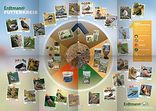 Erdtmanns Wildvogelfutter-Starter-Paket, 1er Pack (1 x 2.15 kg) - 17