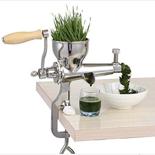 ZHJ Wheatgrass fruit juicer tomato potato juice extractor juicing machine