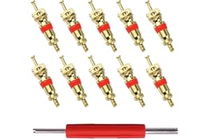JUGUTA Obus Aire Acondicionado Extractor De Válvula Con 10 Insertos De Válvula Para Coche, Bicicleta, Coche, Camión, Neumático De Repuesto, Herramienta De Reparación