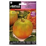  SEMILLAS TOMATE OLYMPE F-1