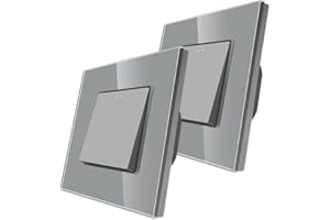 2 paquetes CNBINGO Botón Rocker Interruptores con puntos de tela fluorescentes, panel de pared Gris de cristal moderno, interruptor eléctrico sola capa, interruptor de 1 bandas de 2 vía, 10A 250V