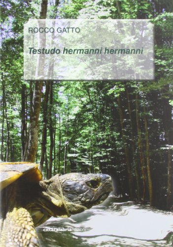 Testudo Hermanni Hermanni