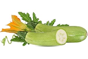 TÛCHE Graines en sachet hermétique, Qualité supérieure, Germination 95%, Instructions incluses, Made in Italy (COURGETTES DE GÊNES)