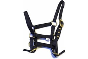 Rhinegold Collar de Nylon Potro