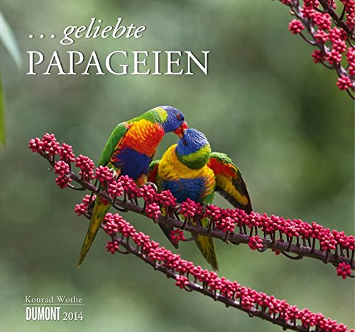 Download . geliebte Papageien 2014