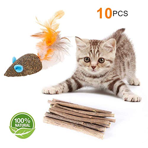 Preisvergleich Produktbild Matatabi Sticks, Tuipong Katzen-Kaustäbchen, für Zahnreinigung, 10 Stück