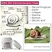 New SNAIL WHITE CREAM FACIAL REPAIRING RENEW MOISTURE ACNE SKIN REGENERATE 50g