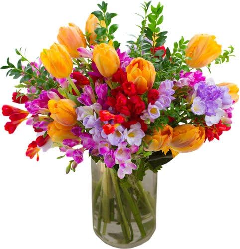 Fresh Just Because Flowers with Free Delivery and Name-a-Rose Gift - Say it with a Hand Tied Bouquet Filled with an abundence of Freesias and Tulips All Wrapped by a Real Florist
