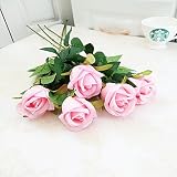 Alrededor de 52 cm de largo, el diámetro de la flor: 8 cm.