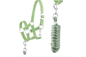 JA HORSE Cabestro juego de cuerda guía con mosquetón ajustable, cabestro para caballo, caballo de madera (mosquetón verde, pony)