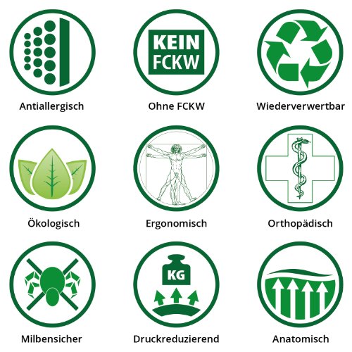 2-tlg MIX-SPAR-Set: 1x (80x40x15cm) Probiotic Ag+ und 1x (40x24x12cm) TRAVEL Nackenstützkissen aus Gelschaum, Orthopädisch & Allergikerfreundlich - 9