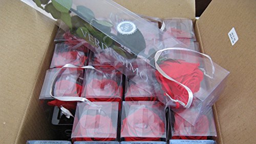 1 Haltbare stabilisierte Rose in rot, konservierte Rosen die ihre lebendige Natürlichkeit über eine Ewigkeit behalten. - 7