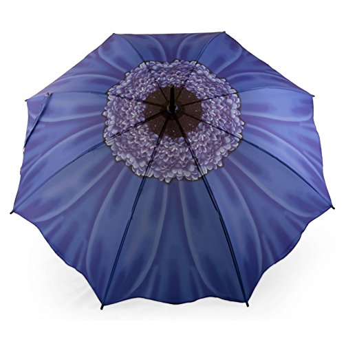 Preisvergleich Produktbild Ausgefallener Damen Stockschirm Regenschirm Motiv Winde Blau Rosemarie Schulz Heidelberg