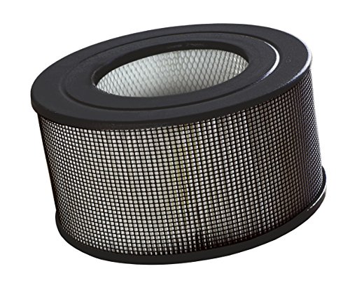 Honeywell CP170-hep HEPA Filter für Modell HA170E - 2