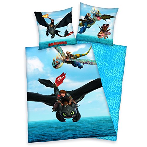 Bettwäsche Set Dragons Drachenzähmen leicht gemacht 135x200cm + 80x80cm Biber/Flanell 462618050