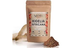 AL BADIL Kigelia Africana (Arbre à saucisse) poudre