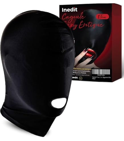 SACOCHE LATERALE EN Cuir AIGLE moto Harley Sportster iron forty eight nighster EUR 79,00 - FR