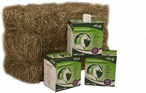 PowerStance High Energy Coconut Supplement (2kg)