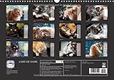 Image de L'art de vivre : L'art de vivre des chats des forêts norvégiennes. Calendrier mural A3 horizontal 2016