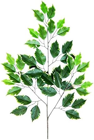 Dekoflower - Artificial Ficus Branches Deluxe 60 CM Pack of 12, Green White