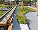 Produktbild Leinwand-Bild 100 x 80 cm: "Green Roof", Bild auf Leinwand