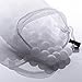 Produktbild FollowHeart Sous Vide Kochen Wasserbälle 250 Count mit Mesh-Trocknertasche, minimaler Wärmeverlust und Wasserverdunstung, BPA-frei, für Sous Vide Herde und Präzisions-Eintauch-Umwälzthermostate
