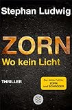 Zorn - Wo kein Licht: Thriller von Stephan Ludwig