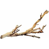 Exo Terra Forest Branch