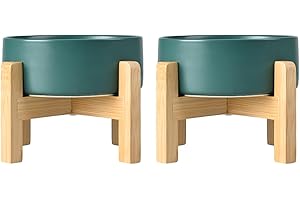 SPUNKYJUNKY Hundenapf Keramik Erhöhter Futternapf Set mit Bambus Ständer für Katzen und Hunde (850ml, Grün)