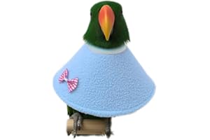 NashaFeiLi Pet Collar, Elizabethan Bird Collar Parrot Recovery Collar for Sun Conures, Macaws Love Birds (L, Blue)