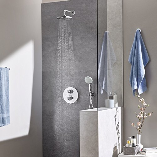 Grohe Tempesta 100 Handbrause (mit 2 Strahlart) 27597000 - 3