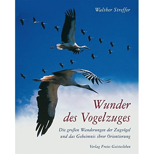 Wunder des Vogelzuges: Die großen Wanderungen der Zugvögel und das Geheimnis ihrer Orientierung