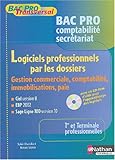 Image de Logiciels bac pro secrétariat comptabilité (Manuel + CD)
