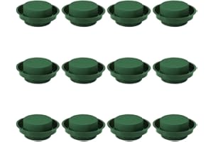 12PCS Fleur Oasis Ronde humide Mousse florale Composition florale Kit fleur mousse avec bol pour mariage Fleurs Décoration