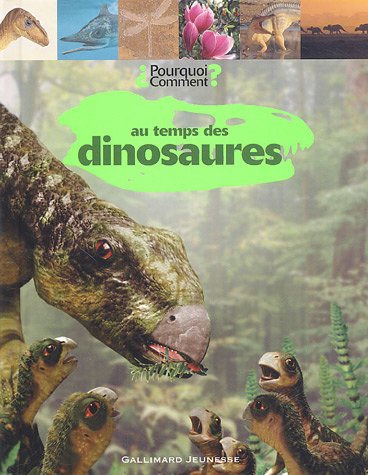 couverture de : Au temps des dinosaures