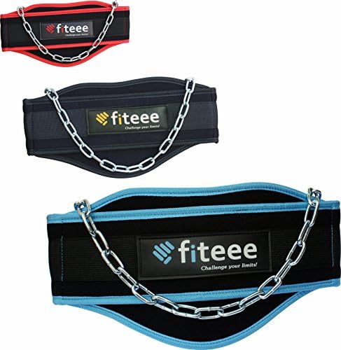 Fiteee Dip Belt - Weight Lifting Belt Gym Fitness Dip Belt Gym Weight Lifting Belt for Heavy Dips and Pull ups - for Men and Women (Cyan)