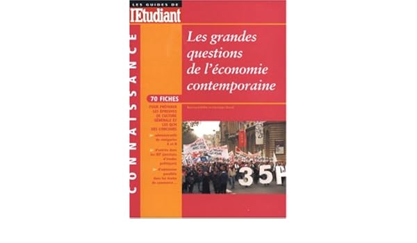 Amazonfr Les Grandes Questions De Léconomie - 