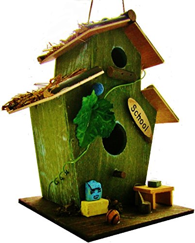 Hüwüknü Vogelhaus, School