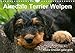 Airedale Terrier Welpen (Wandkalender 2020 DIN A4 quer) by