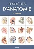 Planches d'anatomie