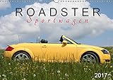 Roadster Sportwagen (Wandkalender 2017 DIN A3 quer): TT 8N - ein Modell in verschiedenen Lackierungen (Monatskalender, 14 Seiten) (CALVENDO Mobilitaet) by 